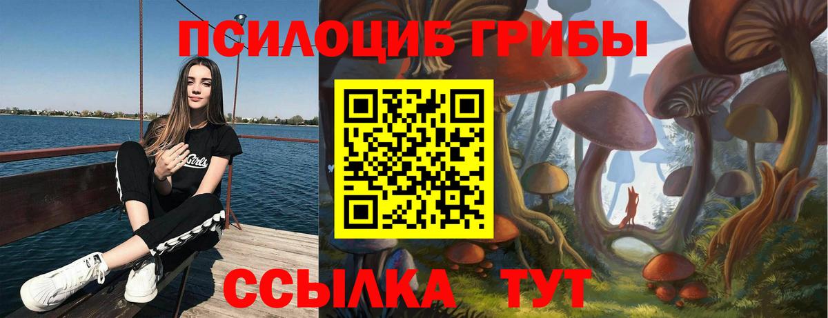 Галлюциногенные грибы Magic Shrooms  Вход с VPN  Псилоцибиновые грибы ЛСД  Чайковский 