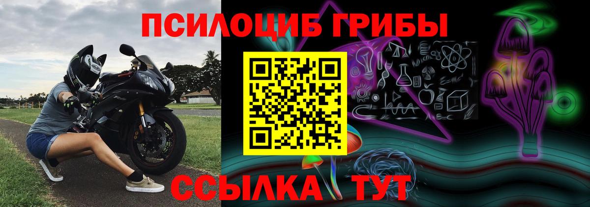 Псилоцибиновые грибы Psilocybine cubensis Чайковский